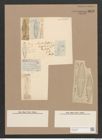 Frustulia bohemica (Ehr.) Rabh. (de-Toni-Nr.: Genus 19, Species 1164) Zeichnungen Sammlung Grunow Nr. 2272 (NHMW-BOT-W0369387)